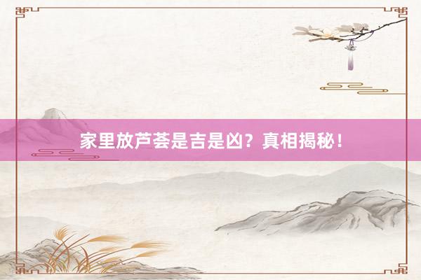 家里放芦荟是吉是凶？真相揭秘！