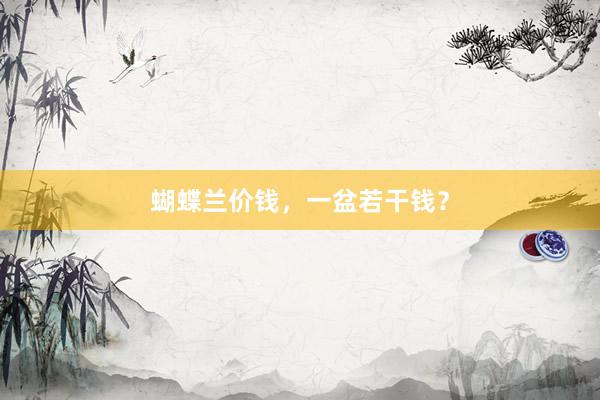 蝴蝶兰价钱，一盆若干钱？